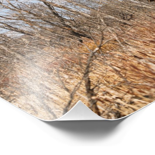 Impression Photo Saskatchewan abandonnée (Coin)