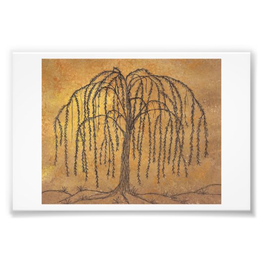 Impression Photo Saule (Devant)