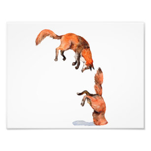 Impression Photo Sauter Renard Rouge