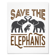 Sauvez les éléphants Aiguille éléphante Protégez l