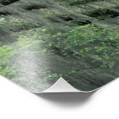 Impression Photo Savannah, Géorgie, Chêne en direct drapé avec (Coin)