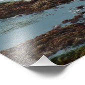 Impression Photo Sceau de port Lit Sunset I à San Diego (Coin)