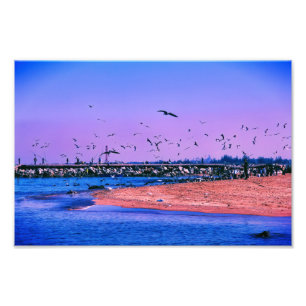 Impression Photo Scène balnéaire avec oiseaux volants et pêcheurs