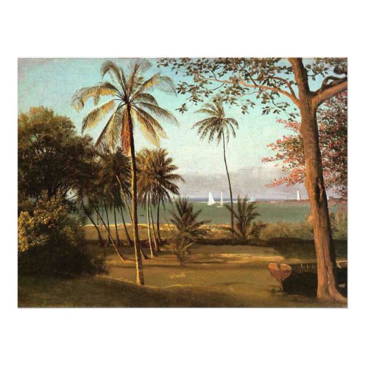 Impression Photo Scène de Floride, peinture d'art fin, (Devant)
