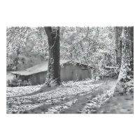 Scène de neige rurale noire et blanche rétroéclair