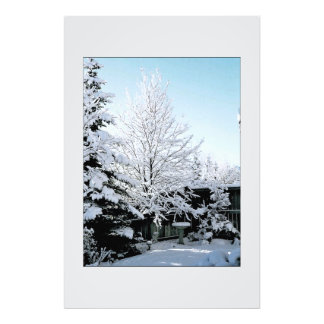 Impression Photo scène hivernale