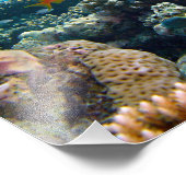 Impression Photo Scène sous-marine (Coin)