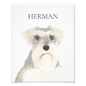 Impression Photo Schnauzer blanc et gris personnalisé (Devant)