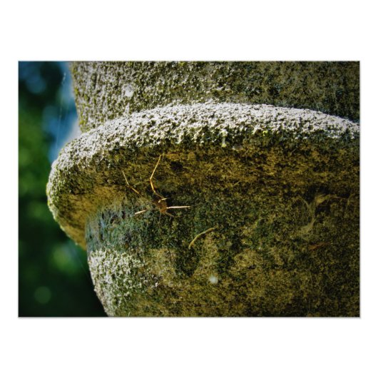 IMPRESSION PHOTO "SCOFIELD" (Devant)