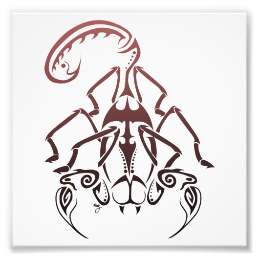 Impression Photo Scorpion Print (Devant)