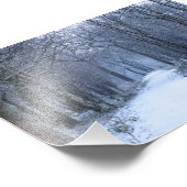 Impression Photo Scottish Bluebell Woods en hiver (Coin)