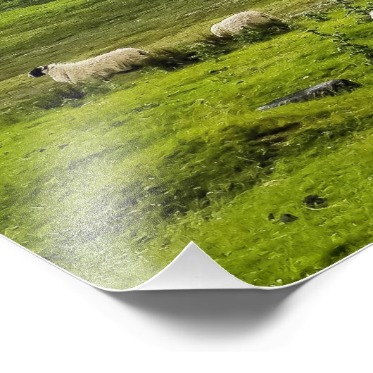 Impression Photo Scottish highlands (Coin)