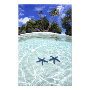 Impression Photo Sea stars, Rock Islands, Palau 2