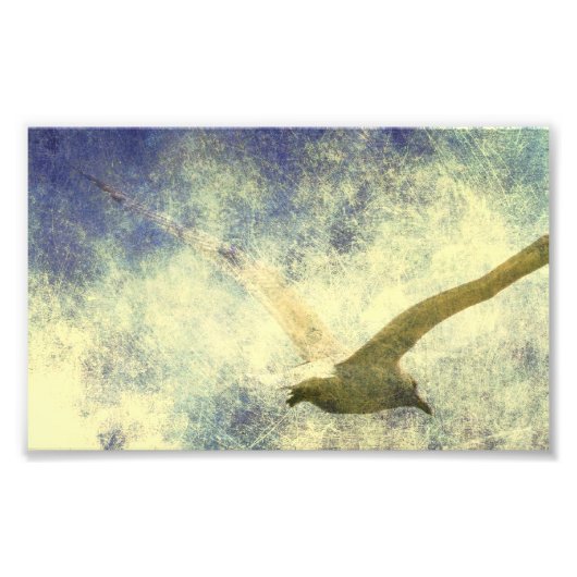 Impression Photo Seagull Grunge (Devant)