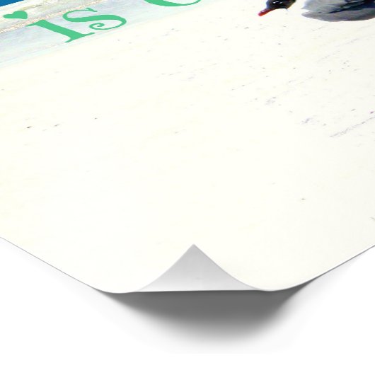 Impression Photo Seagull on the Beach (Coin)