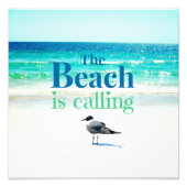 Impression Photo Seagull on the Beach (Devant)