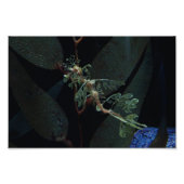 Impression Photo Seahorse (Devant)