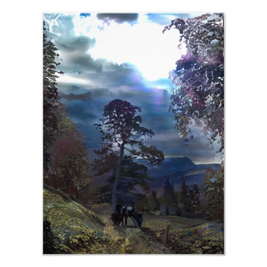 IMPRESSION PHOTO SENTIER DE MONTAGNE (Devant)