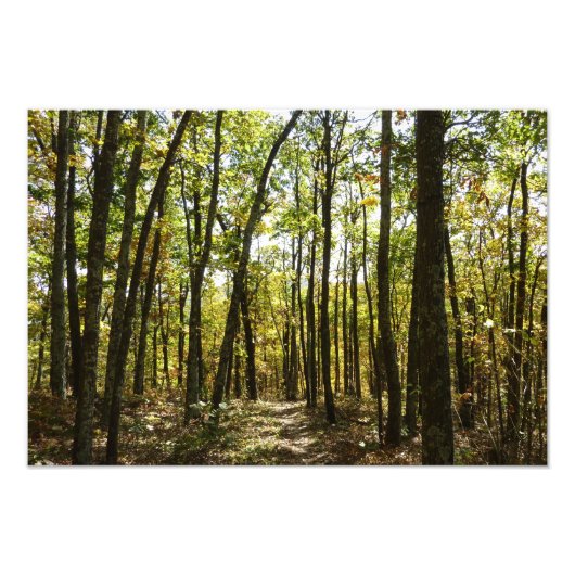 Impression Photo Sentier des Appalaches en octobre à Shenandoah (Devant)