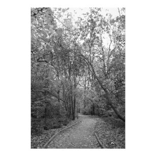 Impression Photo Sentier forestier automnal calme – Édition nordiqu