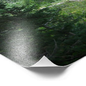 Impression Photo Sentier Grand Teton (Coin)