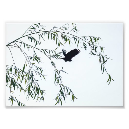 Impression Photo S'envoler (Devant)