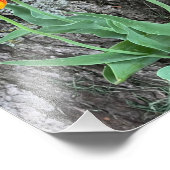 Impression Photo Séquence de trois tulipes jaunes / (Coin)