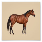 Impression Photo Serafina - cheval brun, debout - (Devant)