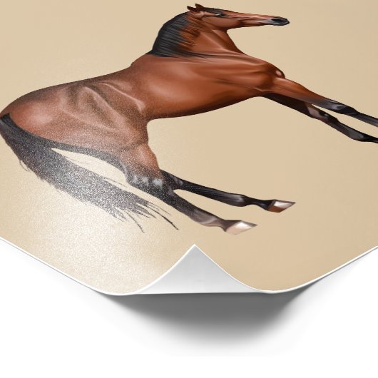 Impression Photo Serafina - cheval brun, debout - (Coin)