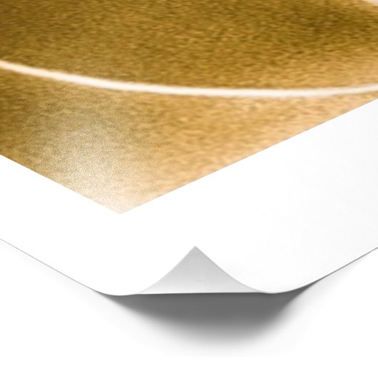 Impression Photo Seraphim (Coin)