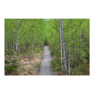 Impression Photo Sérénité Trail