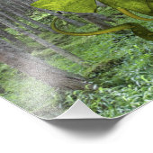 Impression Photo Serpent éléphant vert (Coin)