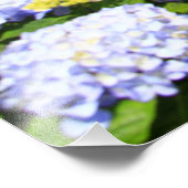 Impression Photo Sete Cidades, Açores (Coin)