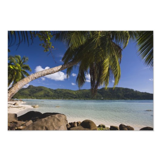 Impression Photo Seychelles, île de Mahe, Anse à la Mouche (Devant)