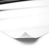 Impression Photo Shadow Zen. Feuille de palme. Monochrome (Coin)