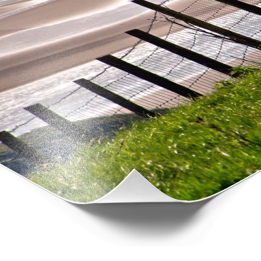 IMPRESSION PHOTO SHEEP (Coin)