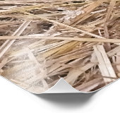 IMPRESSION PHOTO SHEEP (Coin)