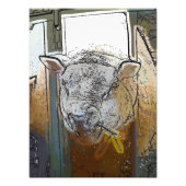 IMPRESSION PHOTO SHEEP (Devant)