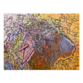 IMPRESSION PHOTO SHEEP (Devant)