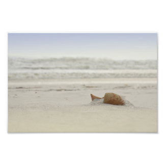 Impression Photo Shell de Panama City