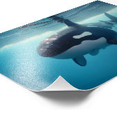 Impression Photo Shorca, Shark/Orca Hybrid, Humour (Coin)