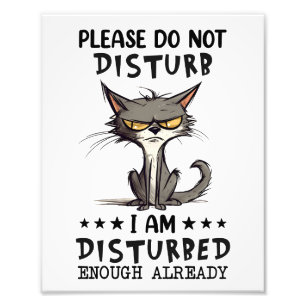 Impression Photo S'Il Vous Plaît Ne Disturbe Pas Chat Sarcasm Funny
