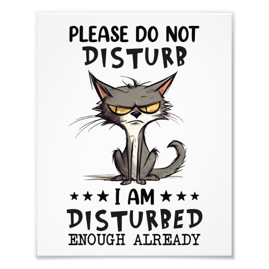 Impression Photo S'Il Vous Plaît Ne Disturbe Pas Chat Sarcasm Funny (Devant)