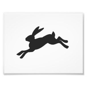 Impression Photo Silhouette Bunny - Choisir la couleur arrière - pl