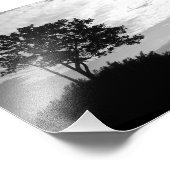 Impression Photo Silhouette d'arbre noir et blanc (Coin)