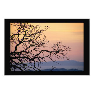 Impression Photo Silhouette de branches de coucher de soleil par Si