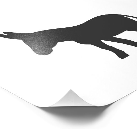 Impression Photo Silhouette d'une mule (Coin)