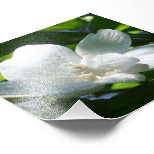 Impression Photo Simple blanc (Coin)