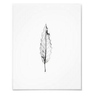Impression Photo Simple Nature Minimaliste Feuille de Cool noir et