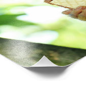 Impression Photo Singe écureuil mangeant un biscuit wafer (Coin)